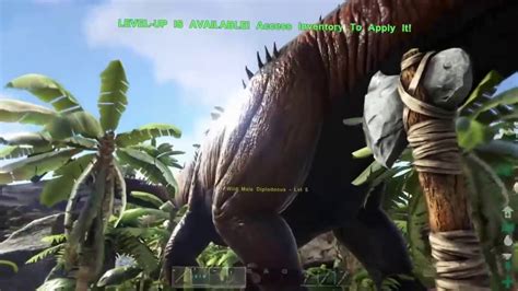 Ark Porn Videos 